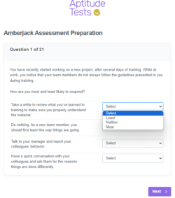 Amberjack SJT Sample 1