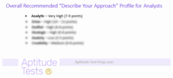 Capital One Describe Your Approach Recommended Profile