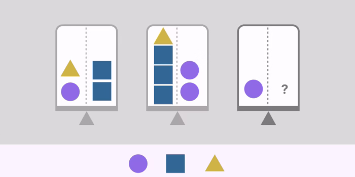 Arctic Shores Balance - Basic Sample Question